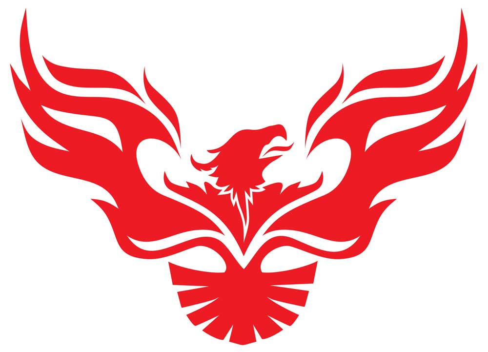 Phoenix Rising Rebellion How Rage Transformed My Life » Representation Rebellion